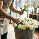 Roses blanches à l’unité à tiges longues dans un vase en verre, symbole de pureté et d’élégance.