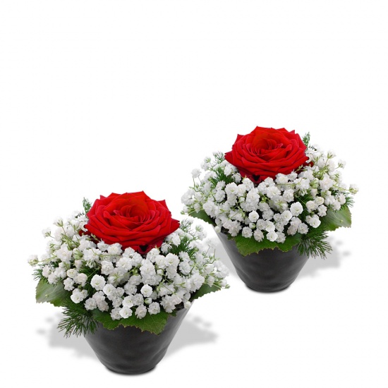 Charmant duo de roses rouges serties dans une dentelle de gypsophile... Cadeau fleurs irrésistible pour orner une tablée chaleure