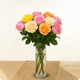 roses multicolores