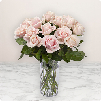 3,50 euros la rose rose!