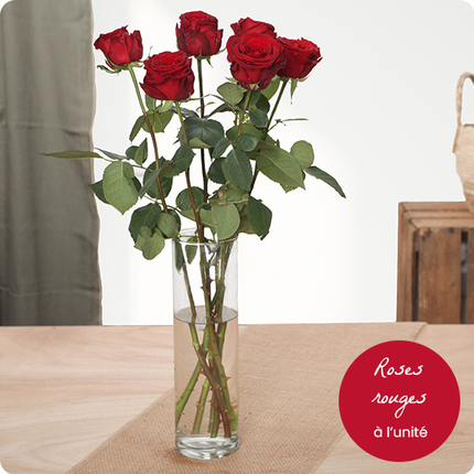 Roses rouges à la tige