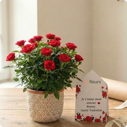Offrez un Rosier en pot plein de charme avec 123fleurs. Livraison rapide partout en France par un fleuriste local.