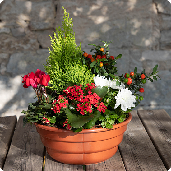 Offrez une jardinière fleurie pour la Toussaint avec Saison Fleurie