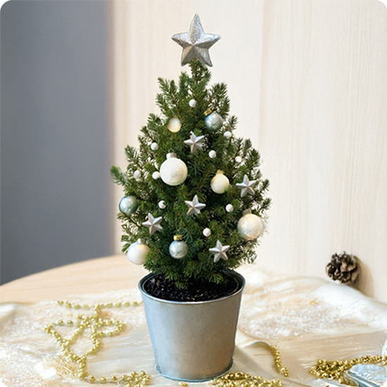 Décoration de Noël, cadeau d’entreprise, surprise hivernale, ou pour créer une ambiance chaleureuse sans encombrer l’espace.