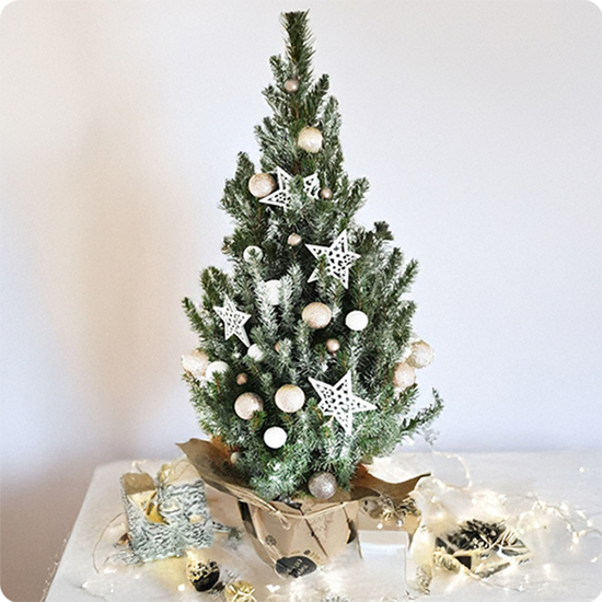 Décoration de Noël, cadeau d’entreprise, surprise hivernale, ou pour créer une ambiance chaleureuse sans encombrer l’espace.