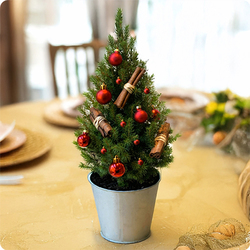 Sapin Noël enchanté