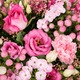 Bouquet Simplement Rose, roses et lisianthus tons roses tenu à la main