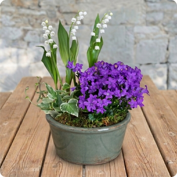 Réalisé par un artisan fleuriste local, il est livré en main propre partout en France, 7j/7, même les jours fériés, en seulement 4 heures.