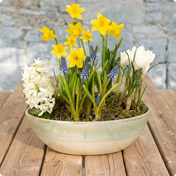 Arrangement de plantes Souvenirs d'enfance