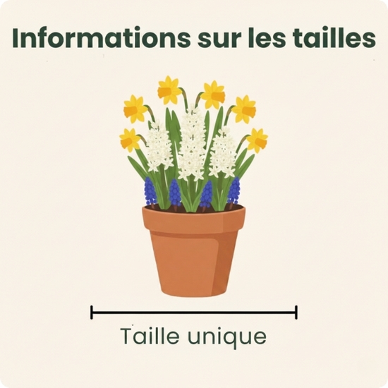 Arrangement de plantes Souvenirs d'enfance