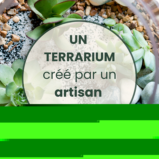 Terrarium du fleuriste