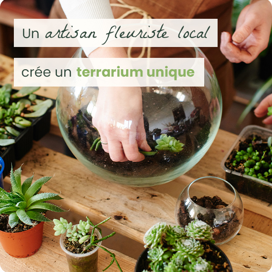 Terrarium du fleuriste