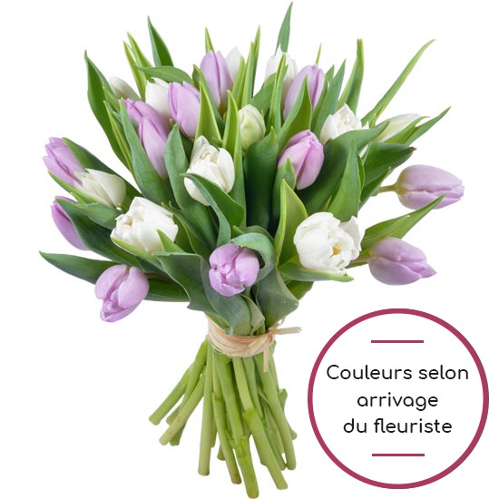 Brassée de tulipes