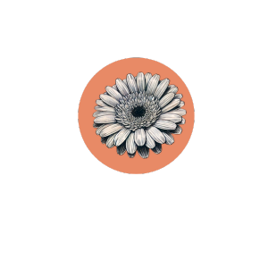 Gerbera